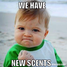Load image into Gallery viewer, Exclusive new sizzler scents - scentaholic.uk
